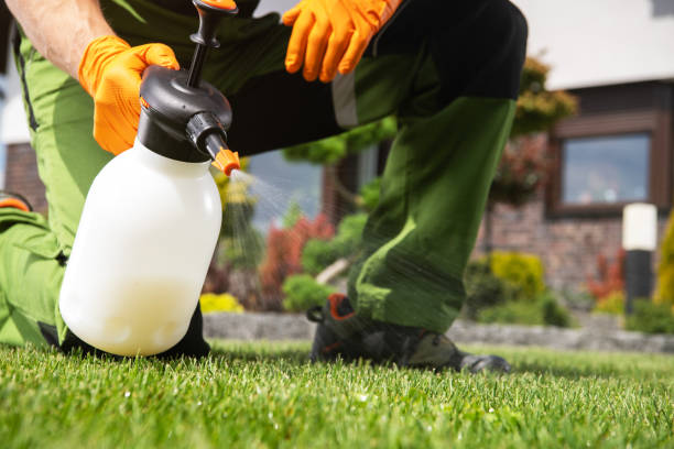 Best Pest Control Treatment  in Middlebush, NJ