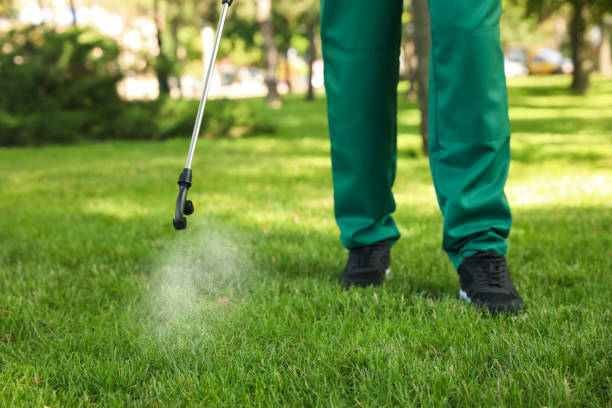 Best Mosquito Control Services  in Middlebush, NJ