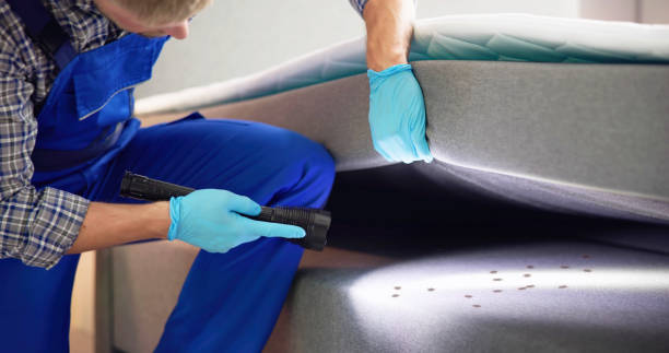 Best Best Pest Control Companies  in Middlebush, NJ
