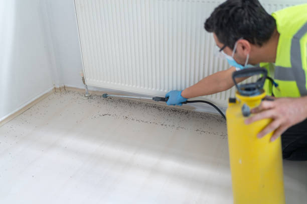 Best Pest Prevention Services  in Middlebush, NJ