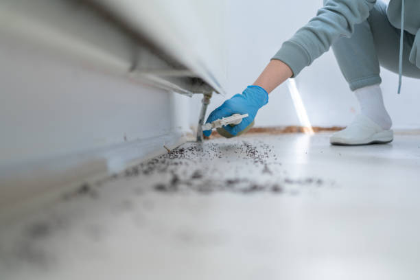 Wildlife Control Services in Middlebush, NJ