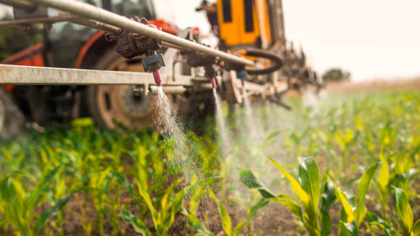Best Commercial Pest Control Services  in Middlebush, NJ
