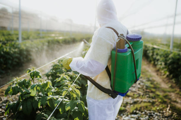 Best Best Pest Control Companies  in Middlebush, NJ
